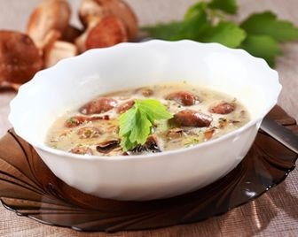 Китайская компания будет выращивать грибы под Пензой