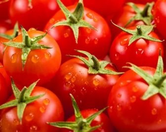 Европейскую санкционную продукцию пустят на биотопливо