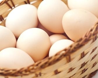 В Японии вывели гипоаллергенных кур
